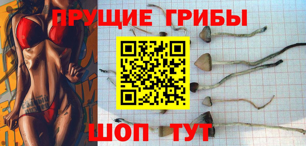 Псилоцибиновые грибы MAGIC MUSHROOMS  Будённовск 