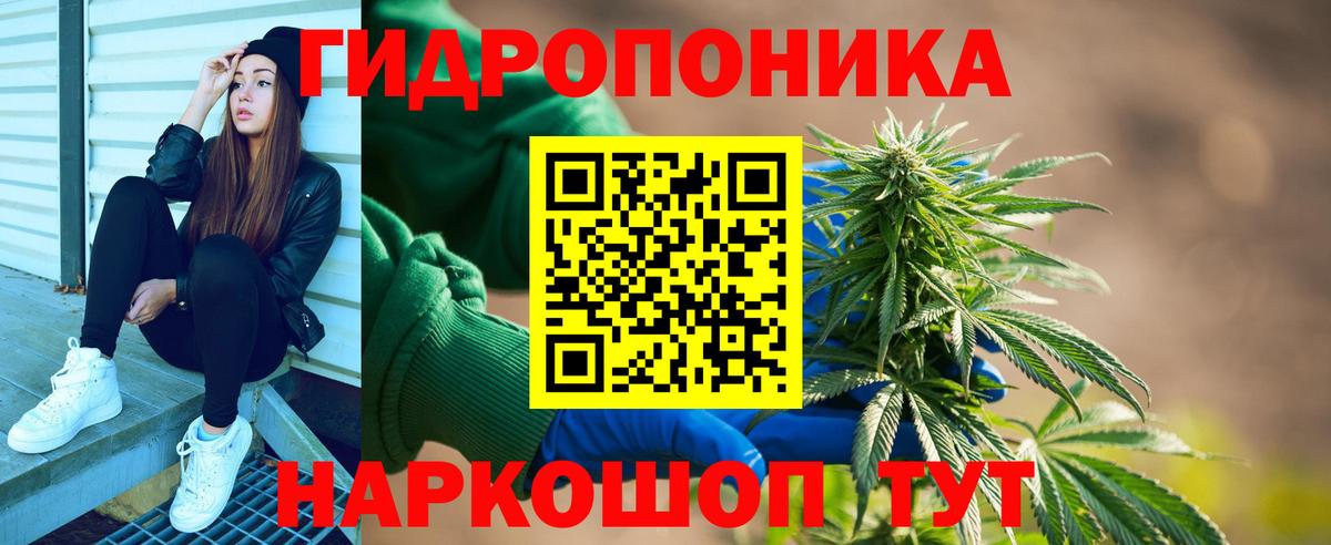 Канабис White Widow  Вход с VPN  Бошки марихуана марихуана  Будённовск 